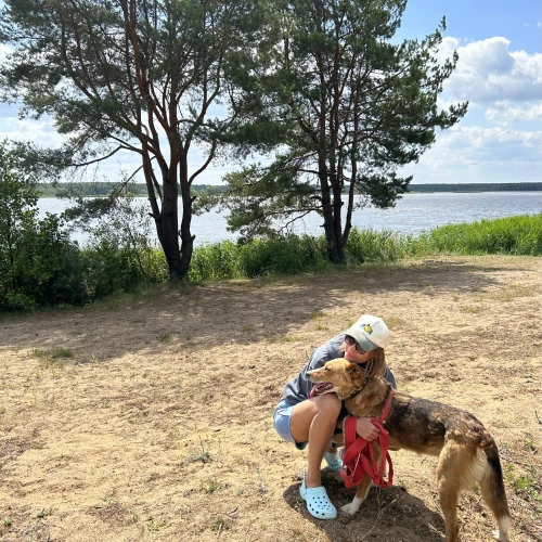 Галерея пет-ситтера Мария (842)