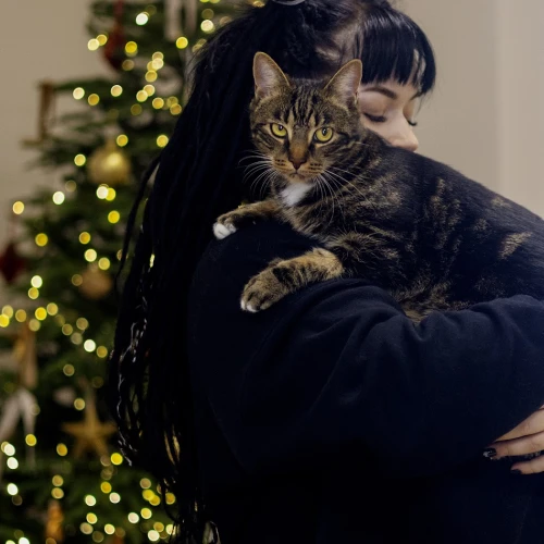 Галерея пет-ситтера Анна (195)