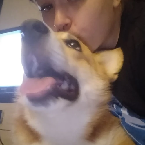 Галерея пет-ситтера Анна (195)