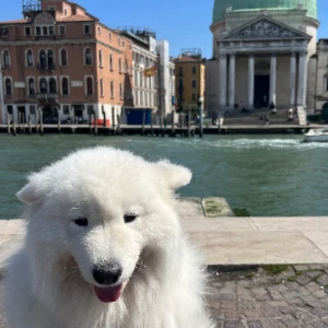 Аватар Volha Tsybulskaya