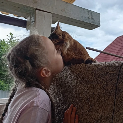 Галерея пет-ситтера Елена (1102)