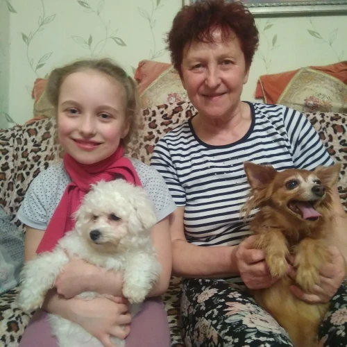 Галерея пет-ситтера Елена (1102)