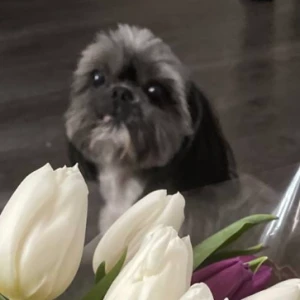 Аватар Оксана