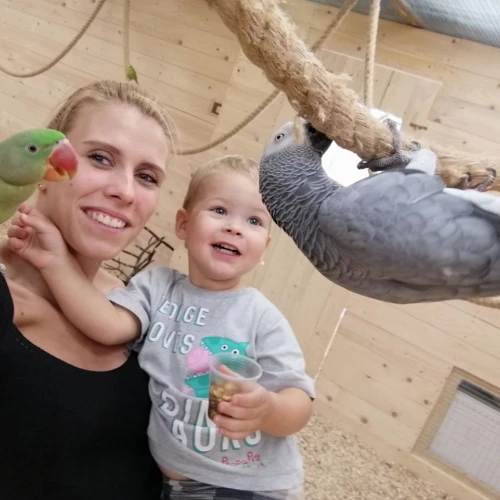 Галерея пет-ситтера Алина (1423)