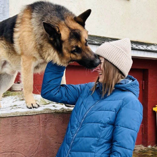 Галерея пет-ситтера Мария (842)
