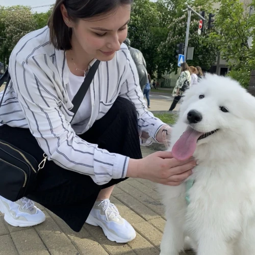 Галерея пет-ситтера Марина (2494)