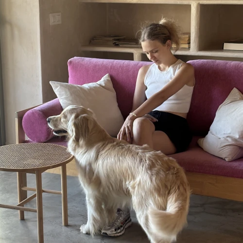 Галерея пет-ситтера Ксения (310)