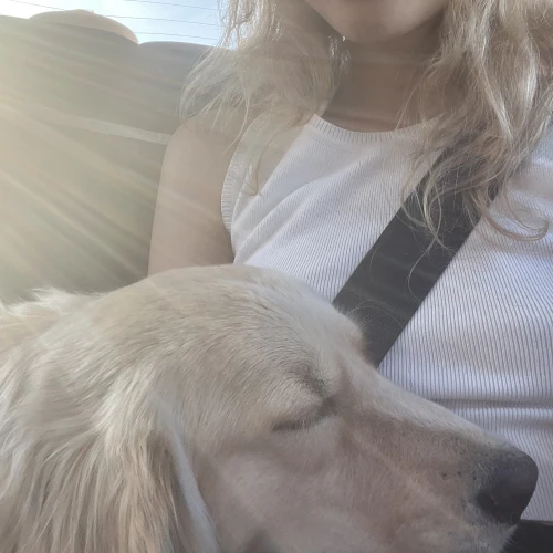 Галерея пет-ситтера Ксения (310)