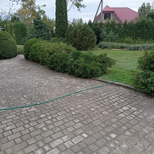 Галерея пет-ситтера Ирина (2632)