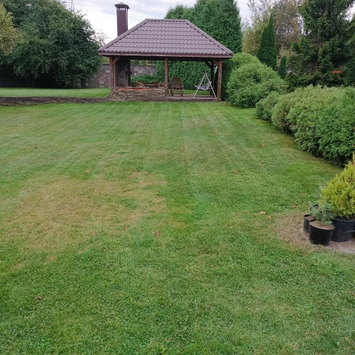 Галерея пет-ситтера Ирина (2632)