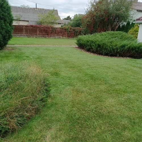 Галерея пет-ситтера Ирина (2632)