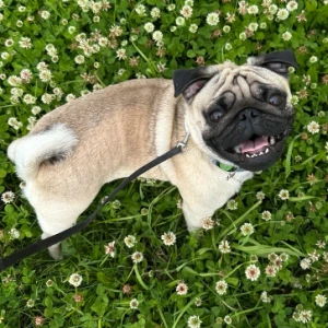 Аватар Валентин