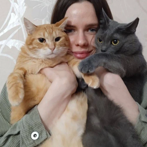 Галерея пет-ситтера Анастасия (2831)