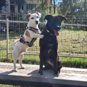 Аватар Ольга