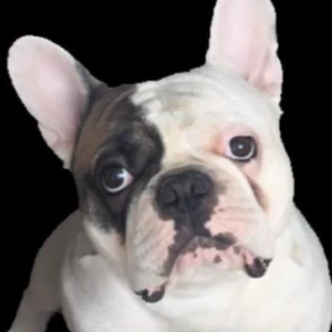 Аватар Андрей