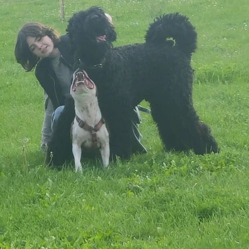 Галерея пет-ситтера Ирина (1283)