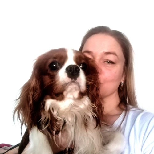 Галерея пет-ситтера Светлана (2119)