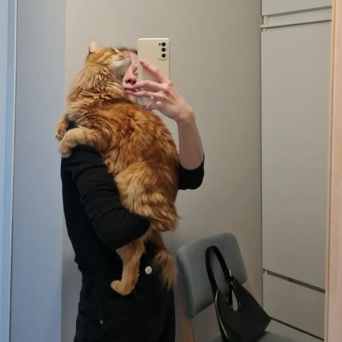 Галерея пет-ситтера Александра (2590)