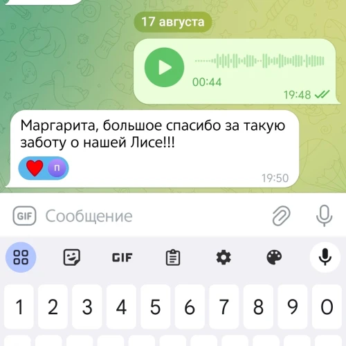 Галерея пет-ситтера Маргарита (547)