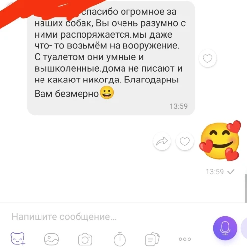 Галерея пет-ситтера Маргарита (547)