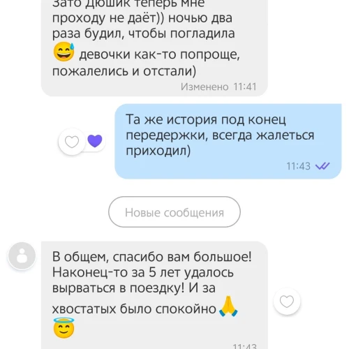 Галерея пет-ситтера Маргарита (547)