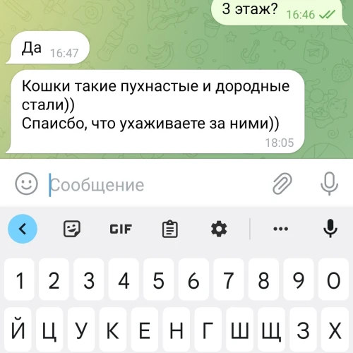 Галерея пет-ситтера Маргарита (547)