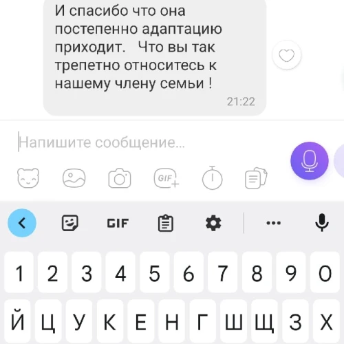 Галерея пет-ситтера Маргарита (547)