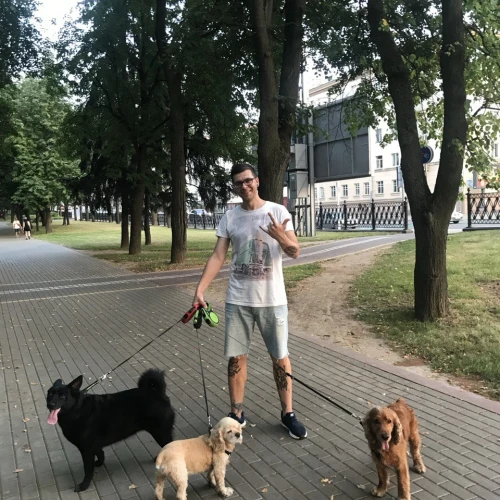 Галерея пет-ситтера Евгений (3301)
