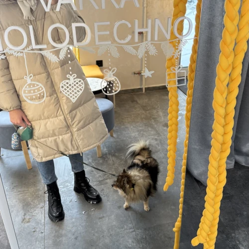 Галерея пет-ситтера Мария (842)