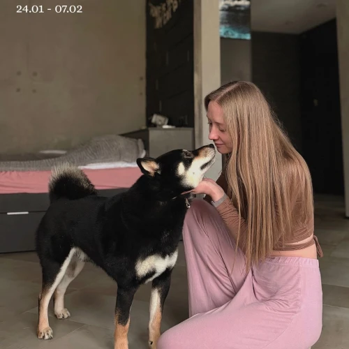 Галерея пет-ситтера Александра (2590)