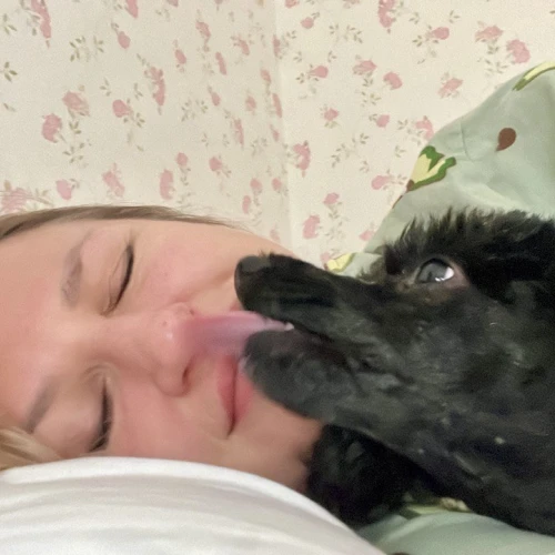 Галерея пет-ситтера Влада (553)