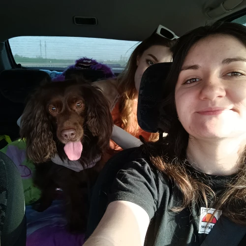 Галерея пет-ситтера Ольга (3419)