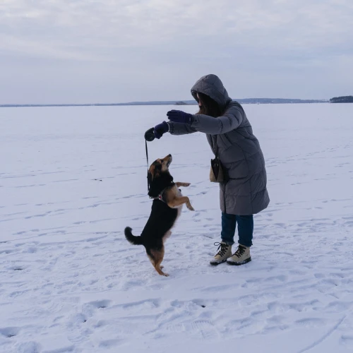 Галерея пет-ситтера Ольга (3419)