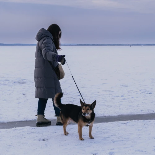 Галерея пет-ситтера Ольга (3419)