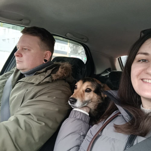 Галерея пет-ситтера Ольга (3419)