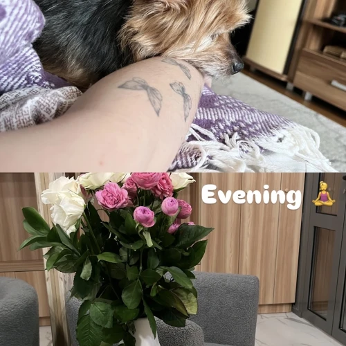 Галерея пет-ситтера Анастасия (3420)