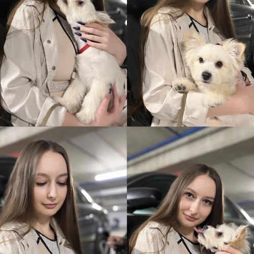 Галерея пет-ситтера Анастасия (3420)