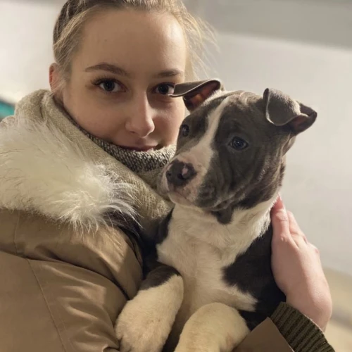 Галерея пет-ситтера Анастасия (3420)