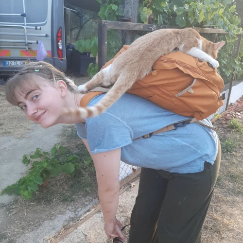 Галерея пет-ситтера Уля (3465)