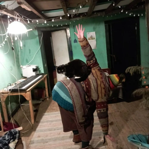 Галерея пет-ситтера Уля (3465)