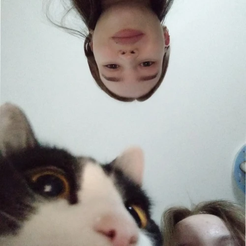 Галерея пет-ситтера Елизавета (3517)