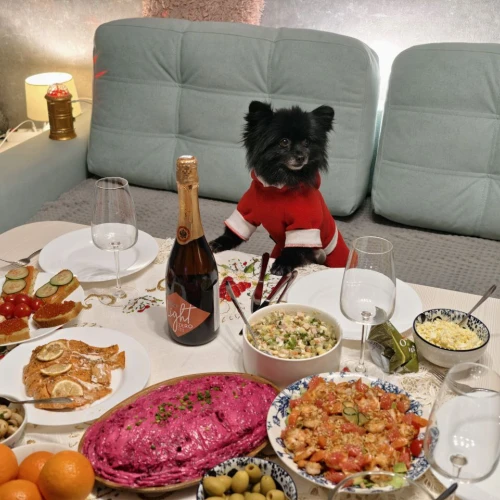 Галерея пет-ситтера Анна (1065)