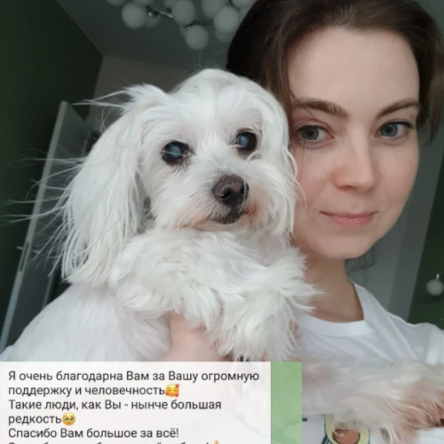 Галерея пет-ситтера Ирена (160)